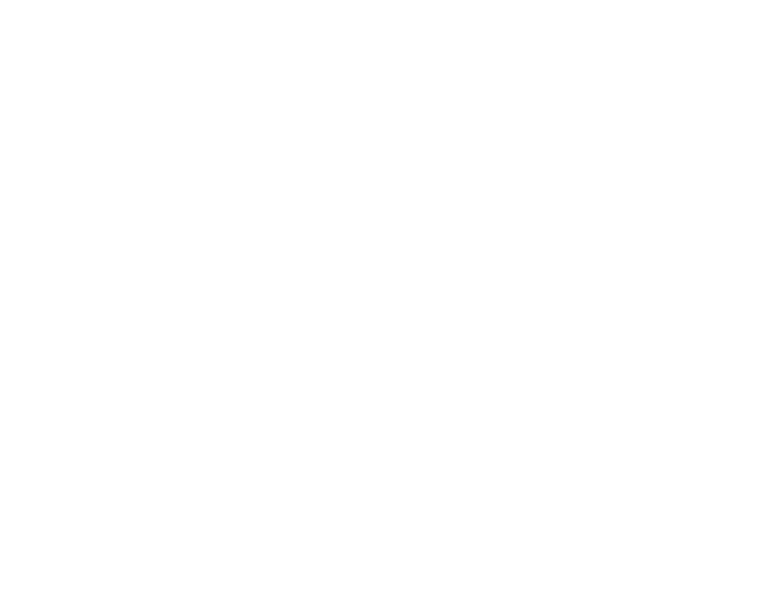 Liberty Safe of NEPA Logo